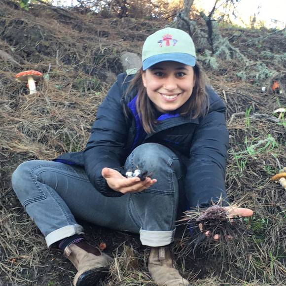 Meet your Posher, Sasha - Picture 1 of 1